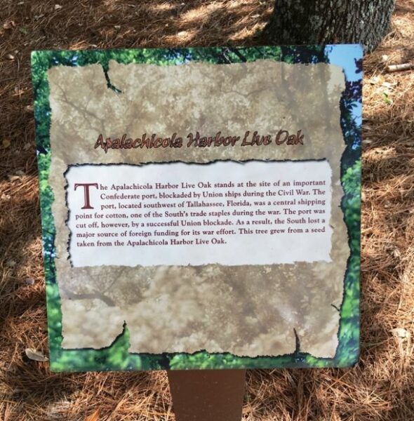 APALACHICOLA HARBOR LIVE OAK WAR MEMORIAL TREE PLAQUE