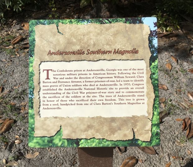 ANDERSONVILLE SOUTHERN MAGNOLIA WAR MEMORIAL TREE PLAQUE
