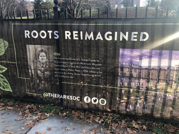 ROOTS REIMAGINED MEMORIAL BANNER