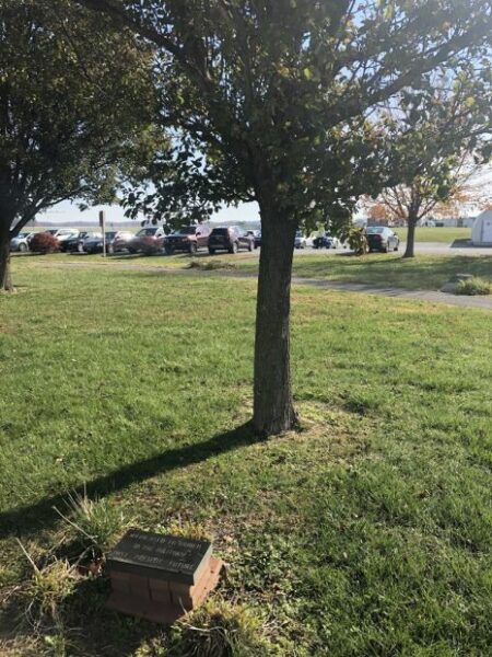 DOVER AFB WOMEN IN THE MILITARY MEMORIAL TREE