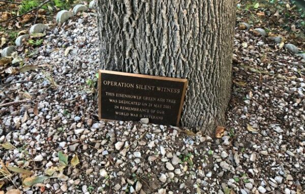 CAMDEN WYOMING OPERATION SILENT WITNESS MEMORIAL PLAQUE