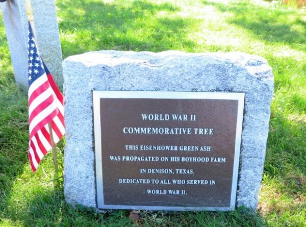 WORLD WAR II COMMEMORATIVE TREE MEMORIAL PLAQUE
