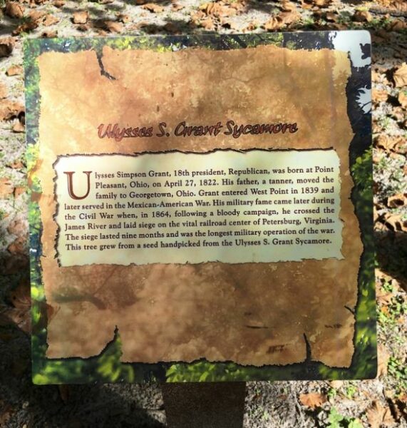 ULYSSES S. GRANT SYCAMORE WAR MEMORIAL TREE PLAQUE