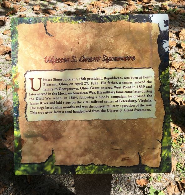 ULYSSES S. GRANT SYCAMORE WAR MEMORIAL TREE PLAQUE