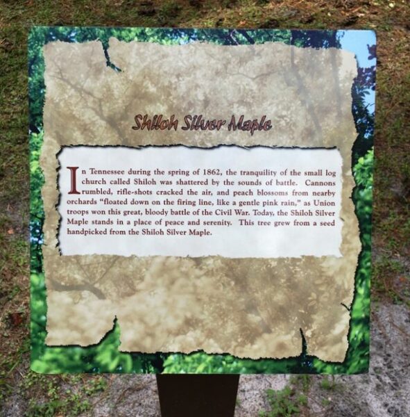SHILOH SILVER MAPLE WAR MEMORIAL TREE PLAQUE