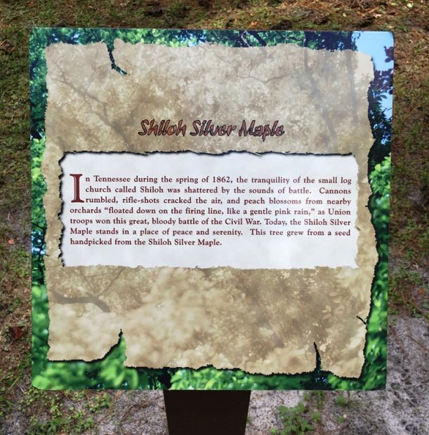 SHILOH SILVER MAPLE WAR MEMORIAL TREE PLAQUE