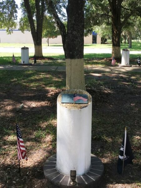 THE FREEDOM TREE LT. STEVE MESSELMAN MEMORIAL TREE