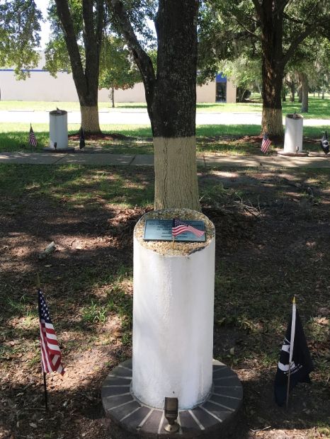 THE FREEDOM TREE LT. STEVE MESSELMAN MEMORIAL TREE