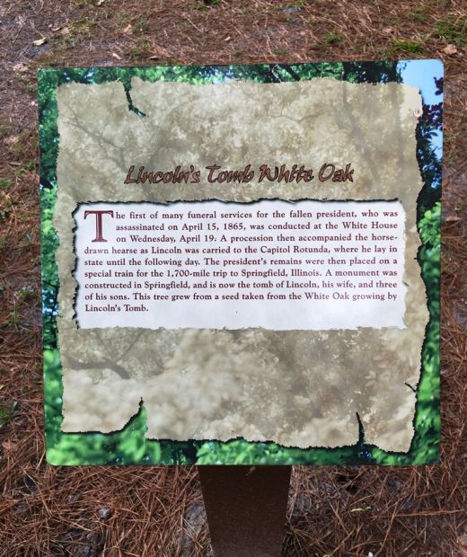 LINCOLN’S TOMB WHITE OAK MEMORIAL TREE PLAQUE