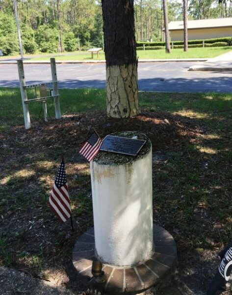 THE FREEDOM TREE LCDR PHIL CRAIG MEMORIAL TREE