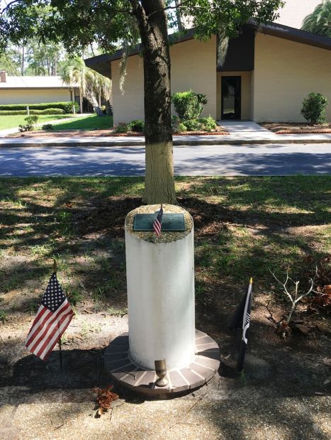 THE FREEDOM TREE LCDR LEE COLE MEMORIAL TREE