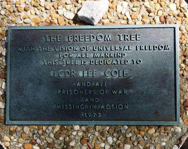 THE FREEDOM TREE LCDR LEE COLE MEMORIAL TREE PLAQUE