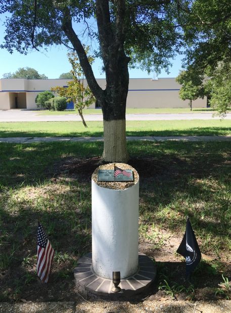 THE FREEDOM TREE LCDR. JAMES SULLIVAN MEMORIAL TREE