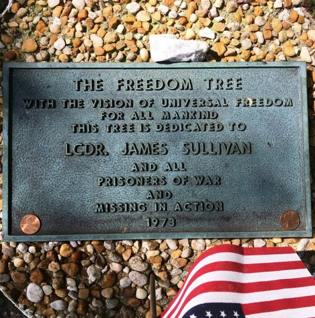 THE FREEDOM TREE LCDR. JAMES SULLIVAN MEMORIAL TREE PLAQUE