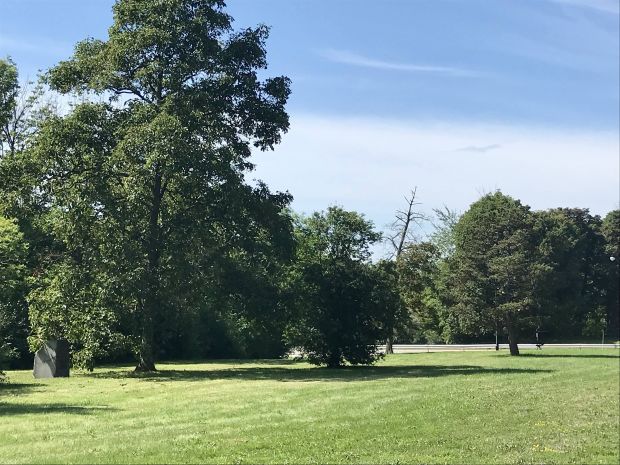 GRAND ARMY OF THE REPUBLIC TREE PLANTED MEMORIAL