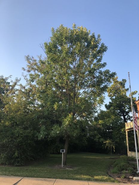OWENSVILLE OPERATION SILENT WITNESS WAR MEMORIAL
