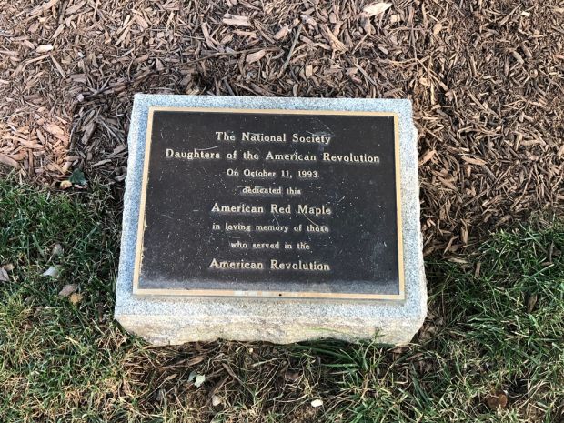 AMERICAN REVOLUTION AMERICAN RED MAPLE WAR MEMORIAL PLAQUE