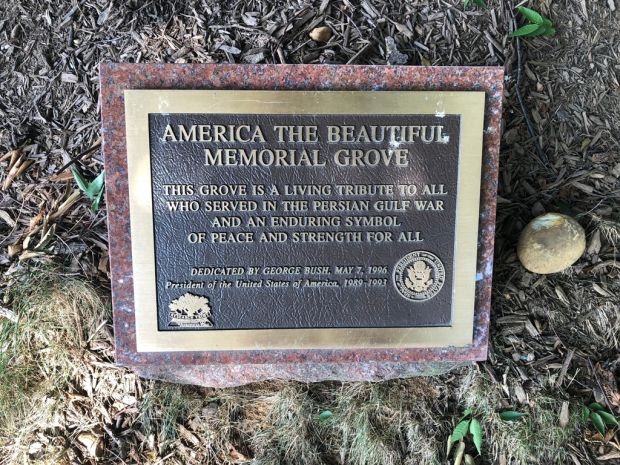 AMERICA THE BEAUTIFUL MEMORIAL GROVE