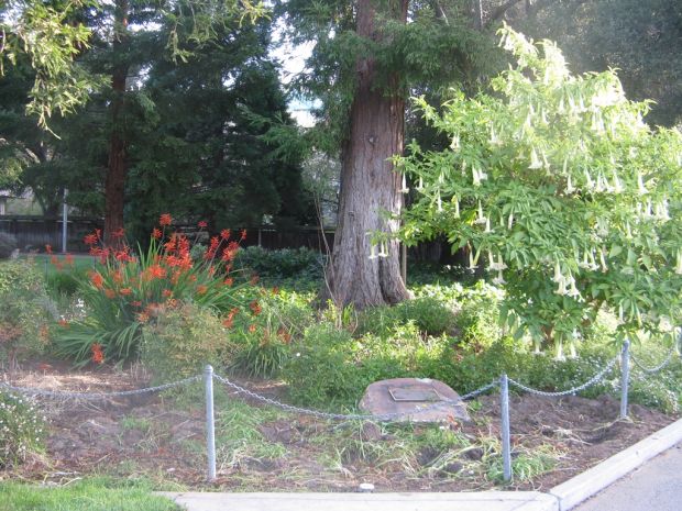 SCREAMING EAGLES GROVE