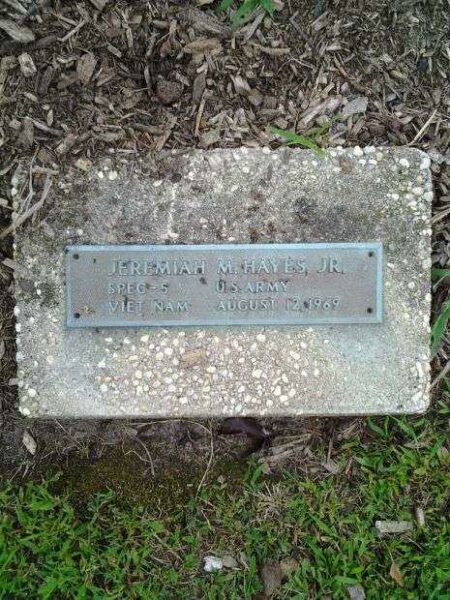 JEREMIAH M. HAYES JR. WAR MEMORIAL TREE PLAQUE