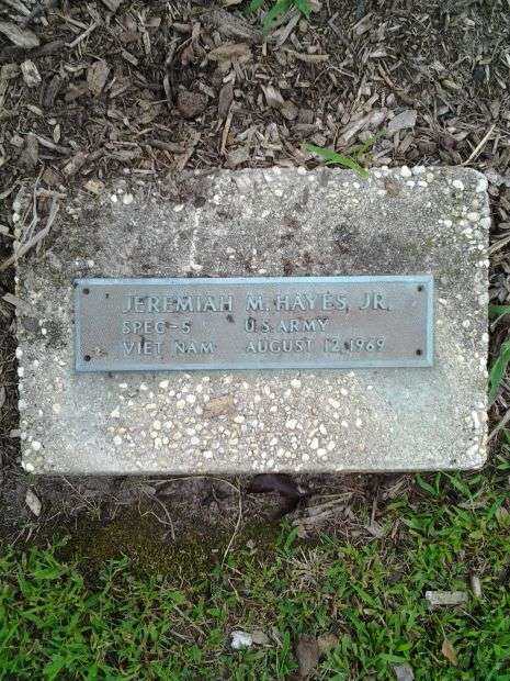 JEREMIAH M. HAYES JR. WAR MEMORIAL TREE PLAQUE