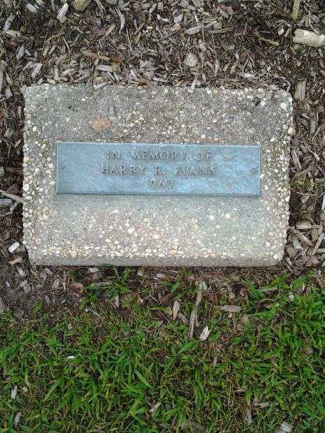 HARRY R. EVANS MEMORIAL TREE PLAQUE