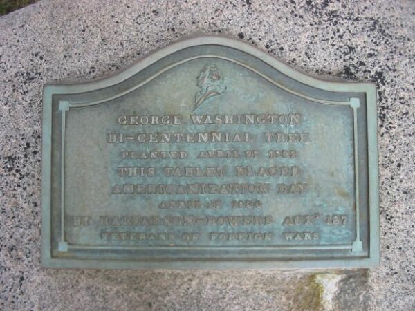 GEORGE WASHINGTON BI-CENTENNIAL TREE PLAQUE MEMORIAL MINNEAPOLIS