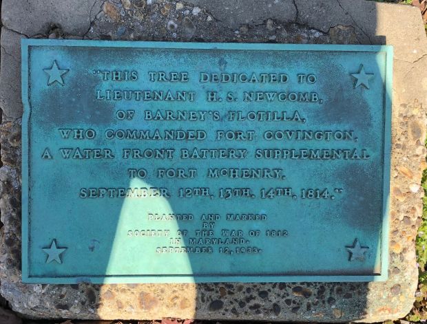 LIEUTENANT H.S. NEWCOMB WAR MEMORIAL TREE PLAQUE