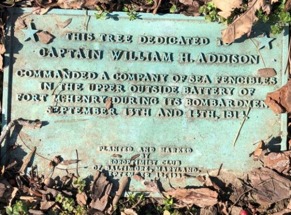 CAPTAIN WILLIAM H. ADDISON WAR MEMORIAL TREE PLAQUE