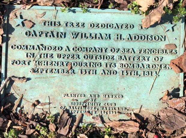 CAPTAIN WILLIAM H. ADDISON WAR MEMORIAL TREE PLAQUE