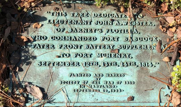 LIEUTENANT A. WEBSTER WAR MEMORIAL TREE PLAQUE