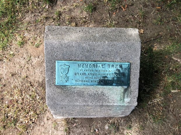 BRATTLEBORO MEMORIAL TREE PLAQUE