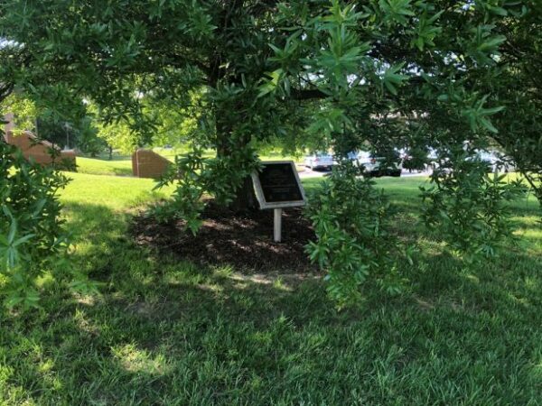 PRINCE GEORGE WORLD WAR II VETERANS MEMORIAL TREE