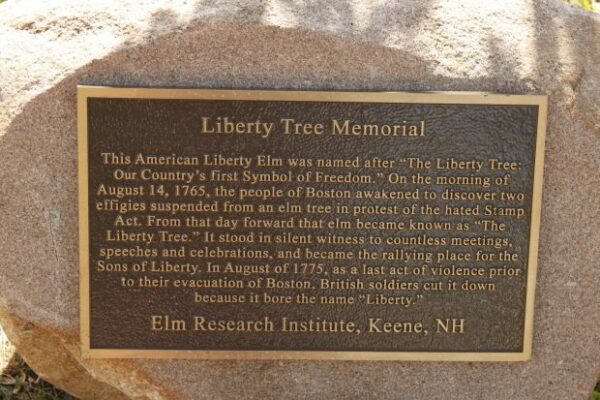 CEDARBURG LIBERTY TREE MEMORIAL PLAQUE