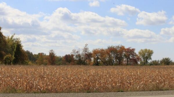 DODGE COUNTY MEMORIAL PARK
