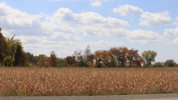 DODGE COUNTY MEMORIAL PARK