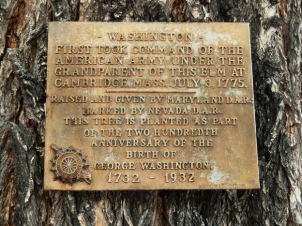 CARSON CITY WASHINGTON ELM MEMORIAL TREE PLAQUE