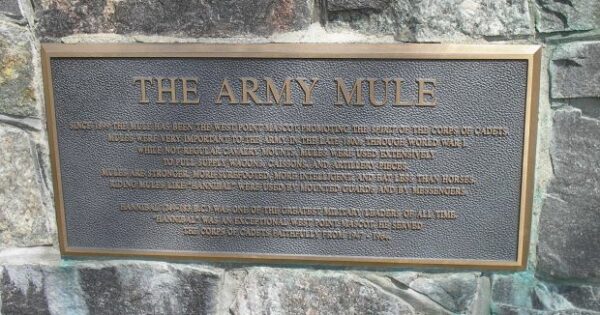 THE ARMY MULE MEMORIAL PLAQUE