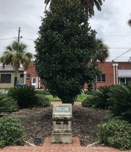BRUNSWICK LIBERTY TREE WAR MEMORIAL