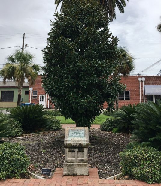 BRUNSWICK LIBERTY TREE WAR MEMORIAL