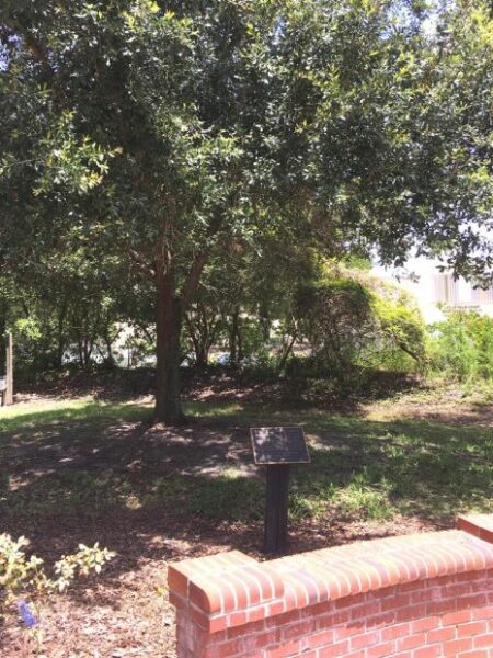 PALM COAST THE LIBERTY TREE WAR MEMORIAL