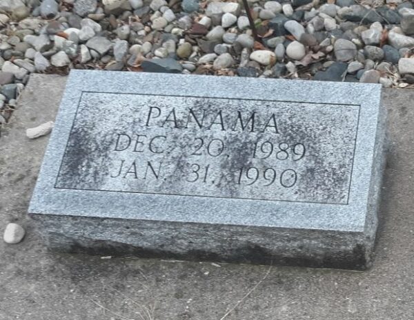 JAMES W. MARKS MEMORIAL GARDENS STONE D