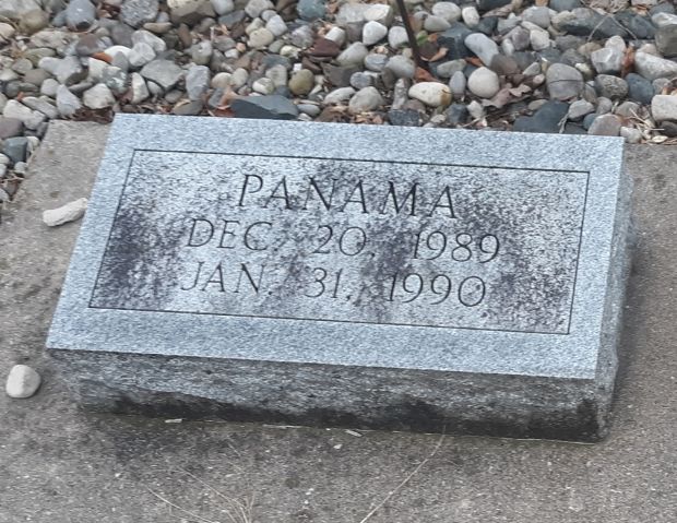 JAMES W. MARKS MEMORIAL GARDENS STONE D