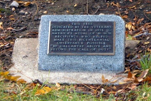 NEW YORK CITY VETERANS ADMINISTRATION MEDAL OF HONOR MEMORIAL TREE PLAQUE