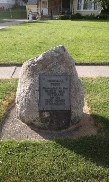 MEMORIAL TREES DEDICATED TO THE WORLD WAR VETERANS