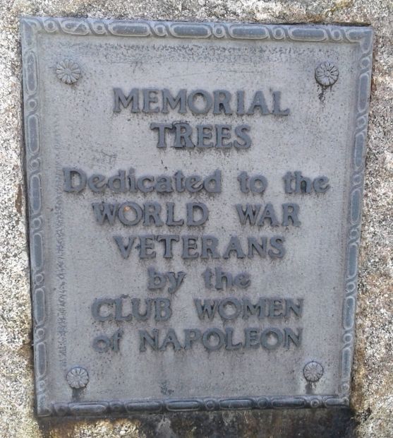 MEMORIAL TREES DEDICATED TO THE WORLD WAR VETERANS PLAQUE