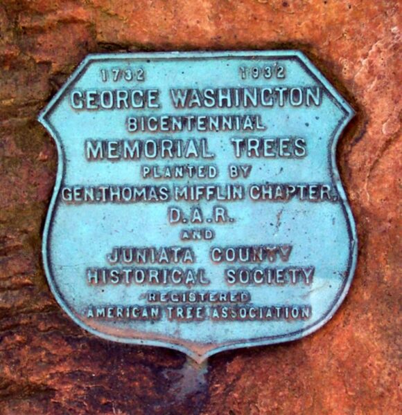MIFFLINTOWN GEORGE WASHINGTON BICENTENNIAL MEMORIAL TREES PLAQUE