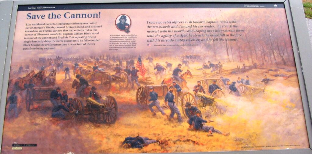 SAVE THE CANNON WAR MEMORIAL PLAQUE