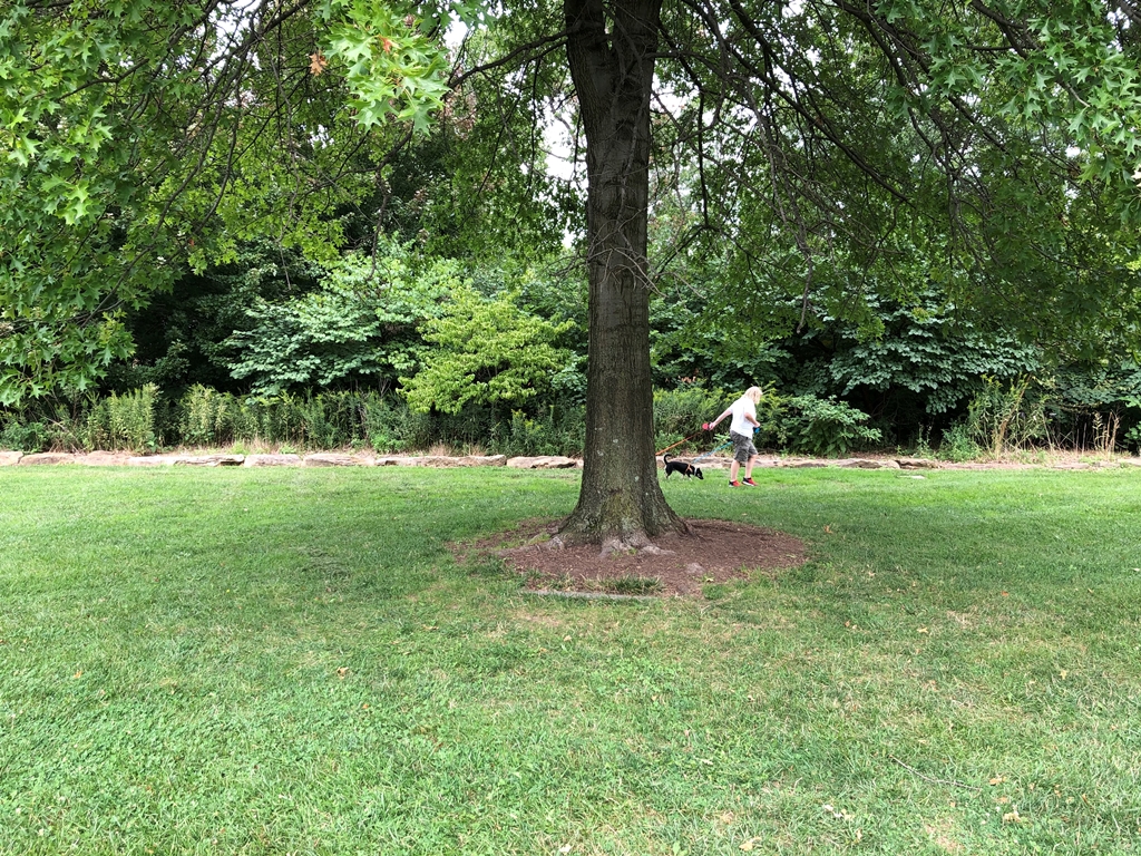 PITTSBURGH PEACE TREE MEMORIAL STONE