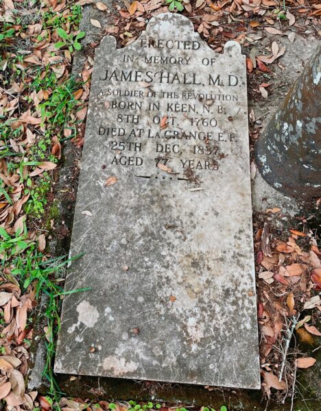 IN MEMORY OF JAMES HALL, M.D. MEMORIAL CEMETERY STONE